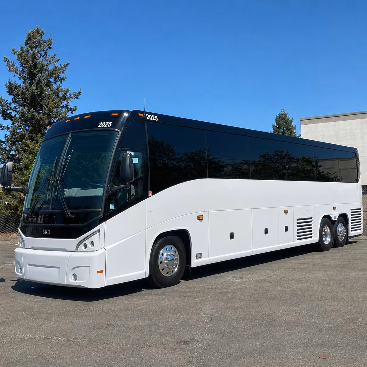 56 passenger charter bus