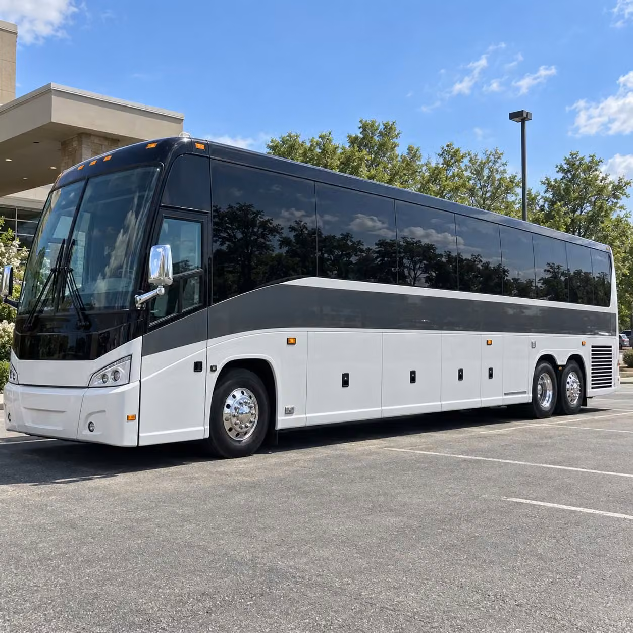 buffalo field trip transportation to science history and nature destinations
