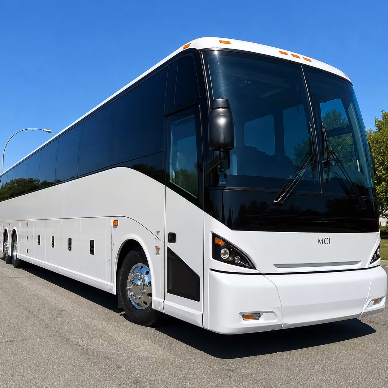 buffalo long distance bus rentals