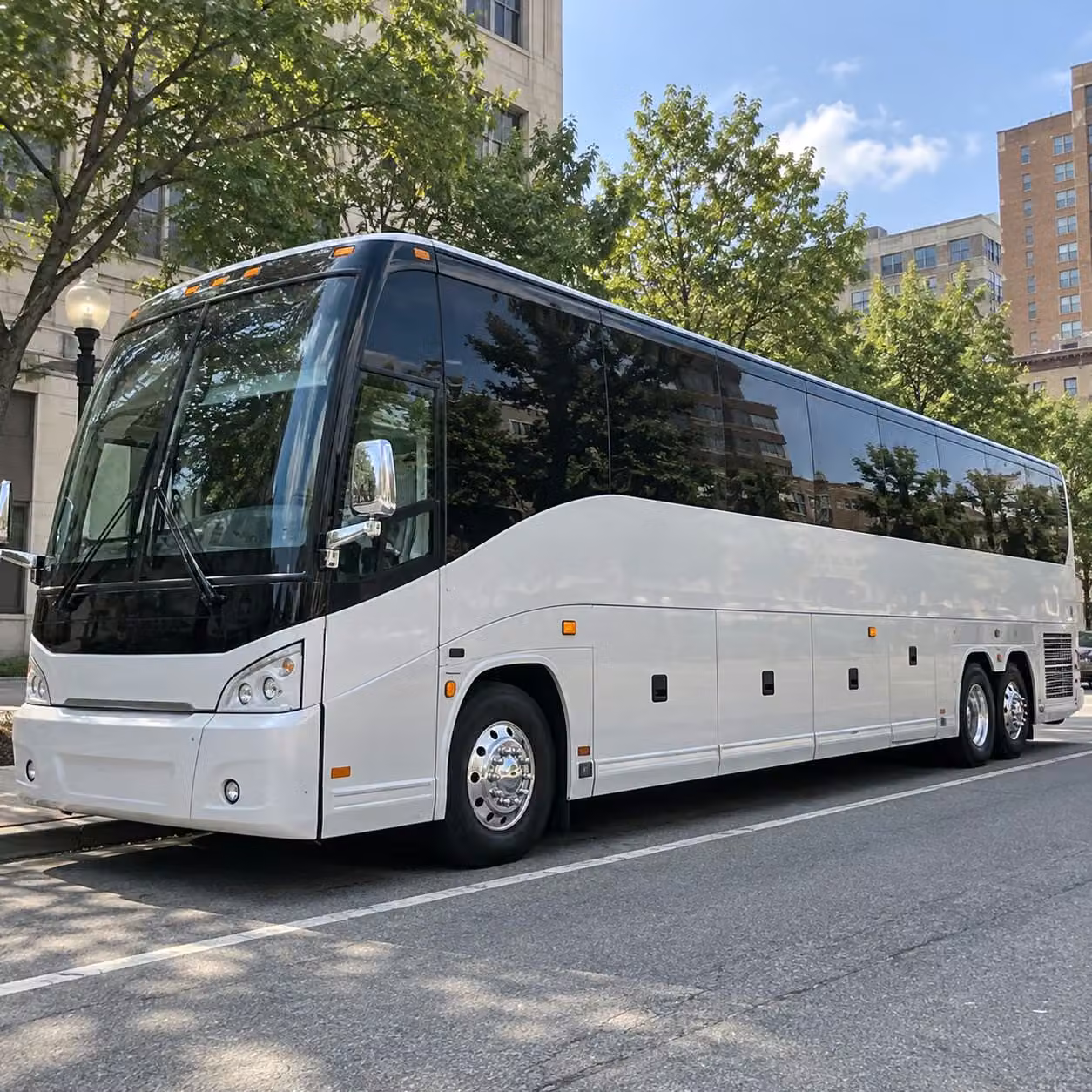 buffalo party buses make prom night unforgettable before you even arrive
