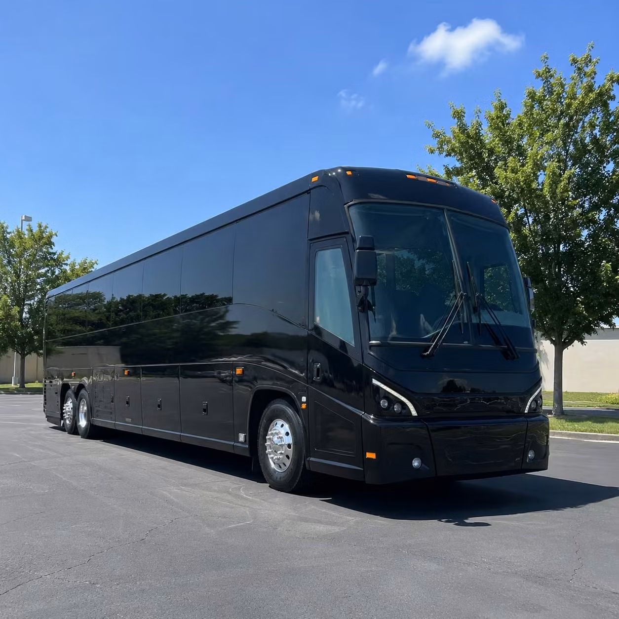 daily commuter shuttle services between buffalo suburbs and downtown